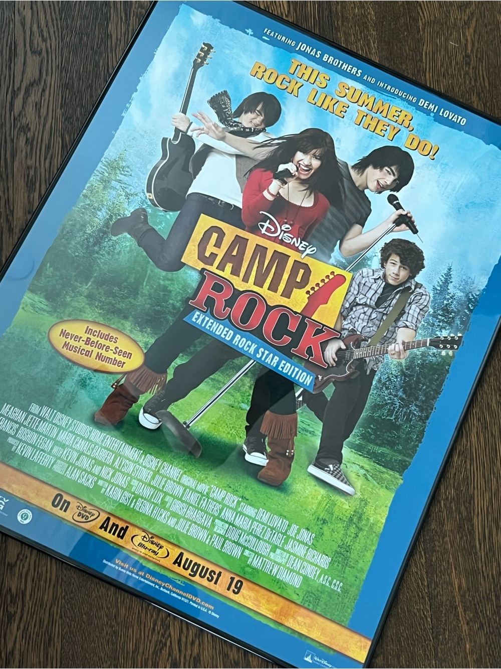 28 x 22 Camp Rock Movie FRAMED Poster